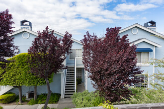 Quiet Harbor in Vallejo, CA - Foto de edificio - Building Photo