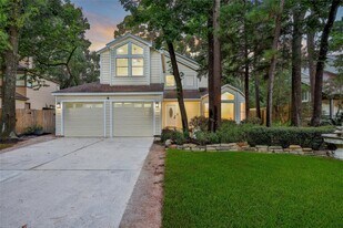 35 Shallow Pond Pl in Spring, TX - Building Photo