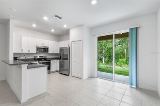 11115 Wishing Cloud Rd in Land O Lakes, FL - Building Photo - Building Photo