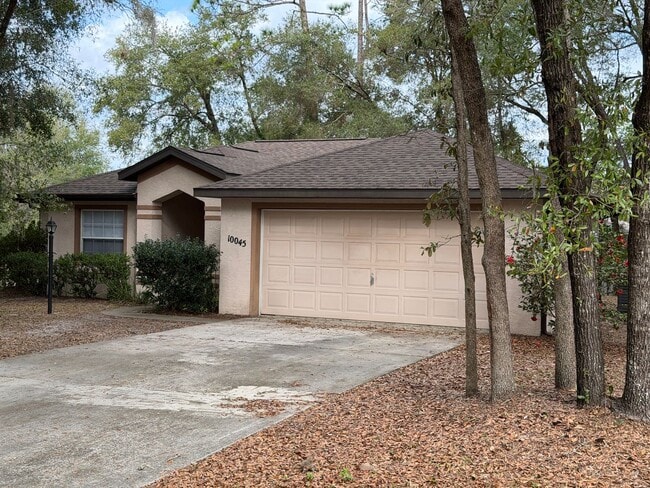 property at 10045 SW 188th Cir