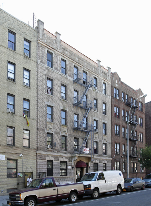 2322 Crotona Ave in Bronx, NY - Building Photo