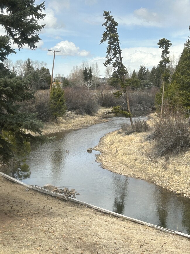 17 Bert Rd in Pinedale, WY - Building Photo - Building Photo