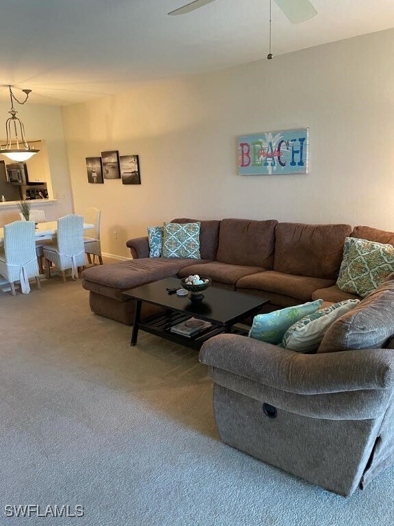 property at 8085 Celeste Dr