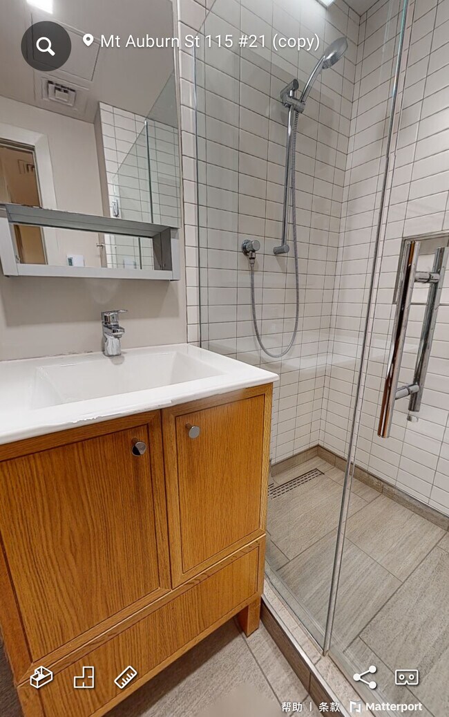 111 Mount Auburn St, Unit 21 in Cambridge, MA - Foto de edificio - Building Photo