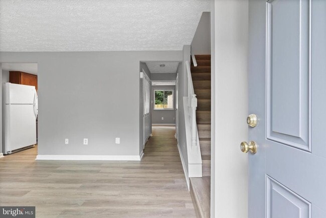 8353 Fern Leaf Ct in Springfield, VA - Building Photo - Building Photo