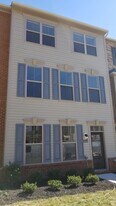 43425 Robey Sq in Ashburn, VA - Building Photo
