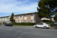 849 Bermuda Dr in San Mateo, CA - Building Photo - Building Photo