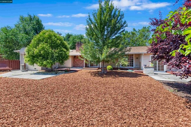 828 Bancroft Rd in Walnut Creek, CA - Building Photo - Building Photo