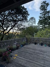 58 Buena Vista Ave in Fairfax, CA - Building Photo - Building Photo
