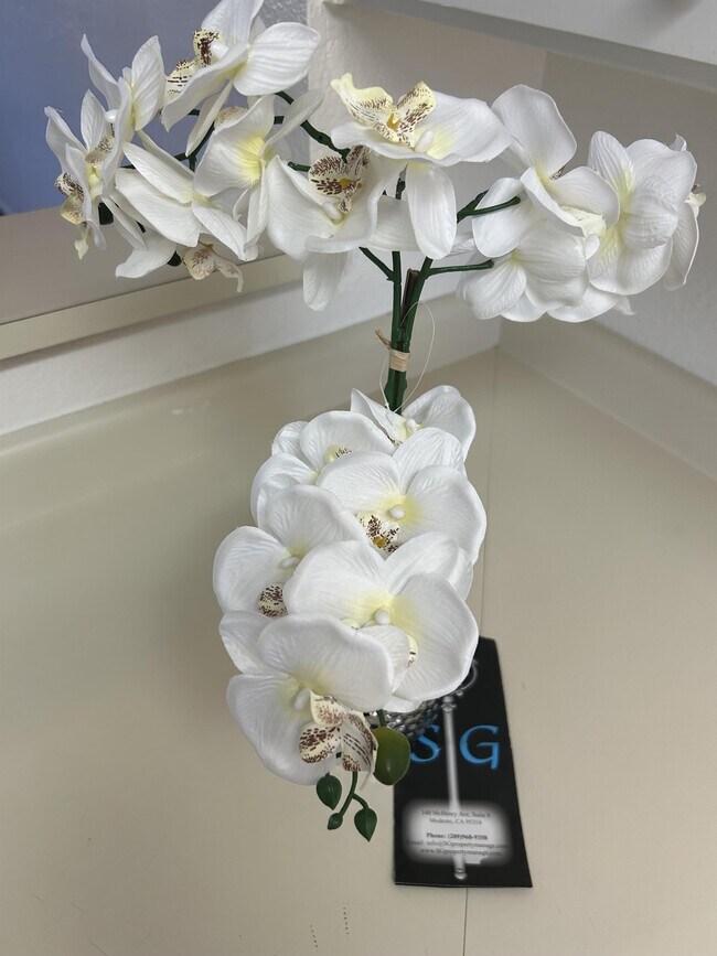 1808 Colorado Ave in Turlock, CA - Building Photo - Building Photo