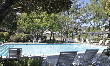 Marquee at Diablo Pines in Walnut Creek, CA - Building Photo - Building Photo