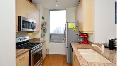 330 W Grand Ave, Unit 1606 in Chicago, IL - Building Photo - Building Photo