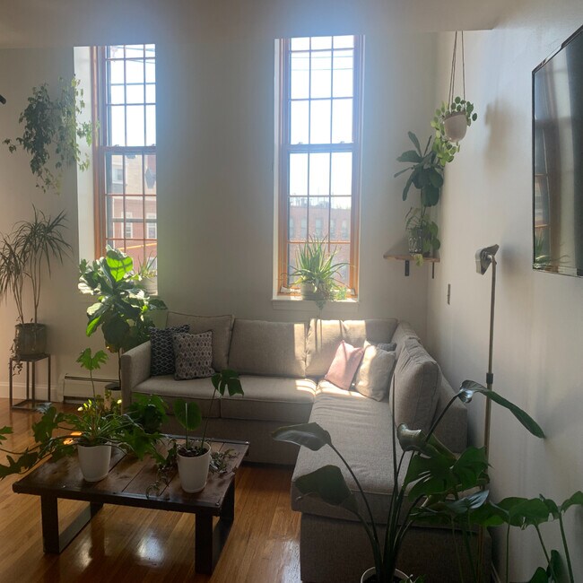 165 Winnisimmet St in Chelsea, MA - Building Photo - Building Photo