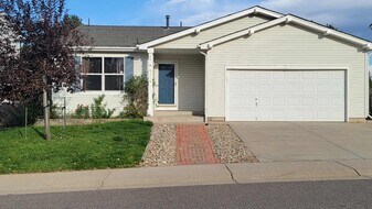8116 Eagleview Dr in Littleton, CO - Building Photo
