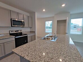 31478 Penny Surf Lp in Wesley Chapel, FL - Building Photo - Building Photo