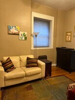 20 E Goethe St, Unit 20 east Goethe in Chicago, IL - Building Photo
