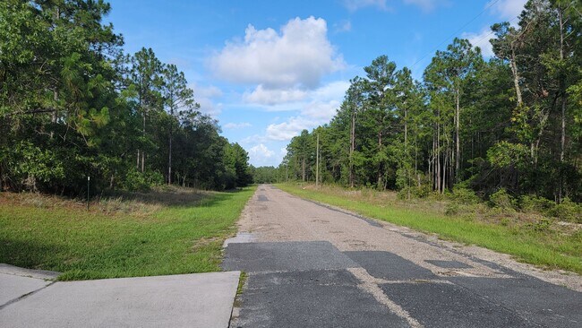 3981 W Firewood Loop in Citrus Springs, FL - Building Photo - Building Photo
