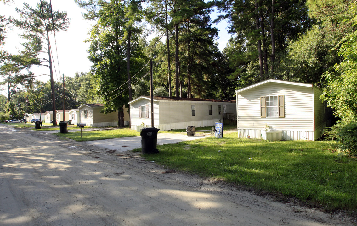 232 Cone Ln in Summerville, SC - Building Photo