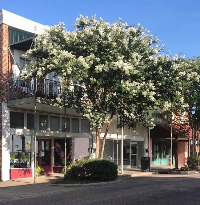 1512 Walnut St, Unit C in Vicksburg, MS - Building Photo - Building Photo