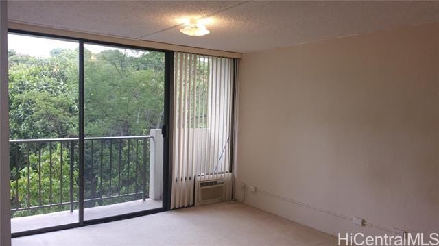 98-500-500 Koauka Loop