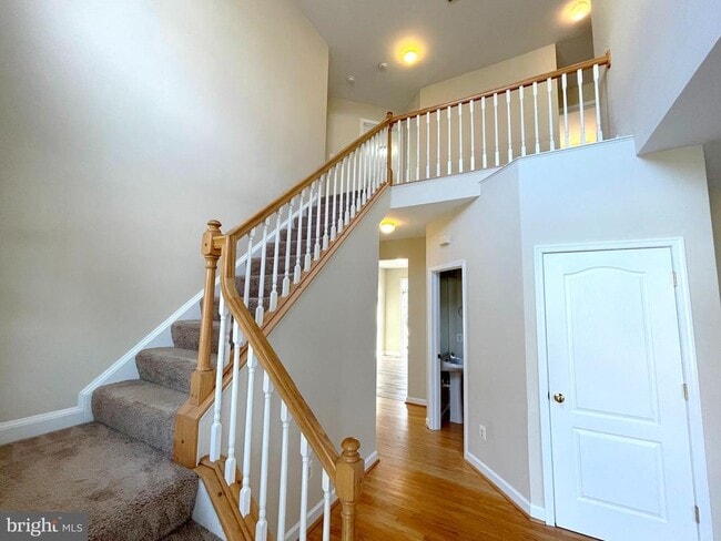 41555 Singletree Dr in Leonardtown, MD - Building Photo - Building Photo