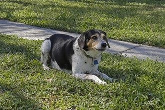 Summer Glen ~ Boutique Cottage Style Living Meets Hassle Free Leasing in Jacksonville, FL - Foto de edificio - Building Photo
