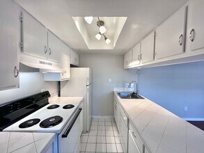 Inertio Apartments in Tampa, FL - Building Photo - Interior Photo