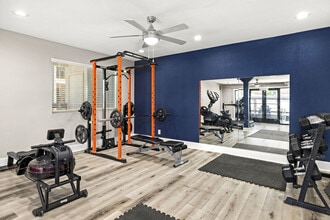 Celeste Glendale in Glendale, AZ - Building Photo - Building Photo
