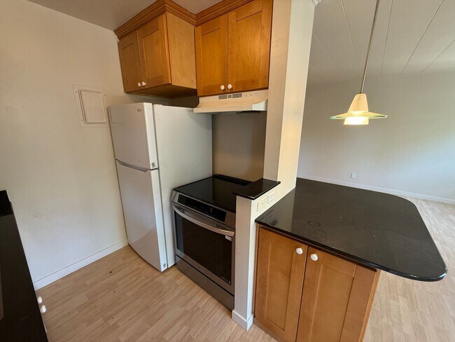 225 Massol Ave in Los Gatos, CA - Building Photo - Building Photo