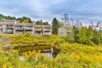 1-21 Loo Bridge Ln in Windham, NY - Building Photo - Building Photo