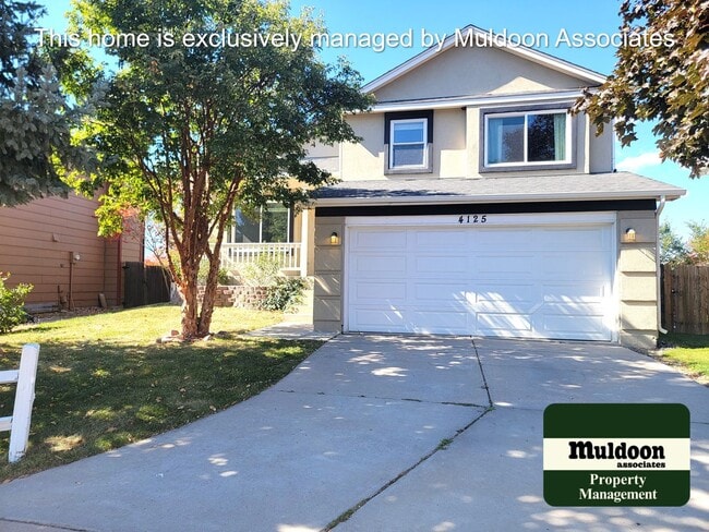 property at 4125 Solarface Ct