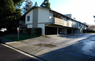 255 Easy St in Mountain View, CA - Building Photo