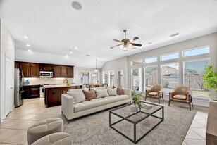 13603 Summer Cloud Ln in Pearland, TX - Building Photo