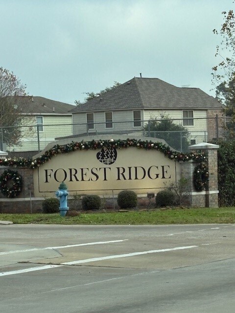 3002 Tall Tree Ridge Way in Spring, TX - Foto de edificio