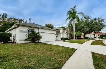 1025 Arlinbrook Dr in Trinity, FL - Foto de edificio - Building Photo