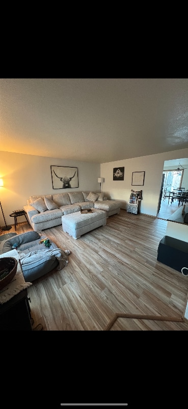 118 Chickadee Dr in Kelso, WA - Building Photo - Building Photo