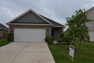 8435 Chesney Trl in Fulshear, TX - Building Photo