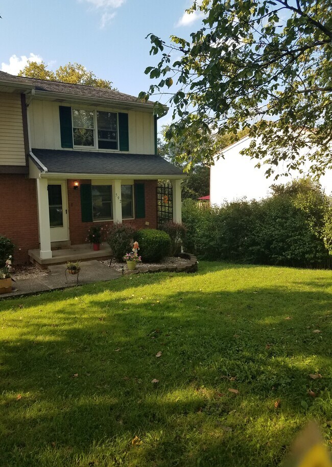 592 Peach View Ln in Duncansville, PA - Building Photo - Building Photo