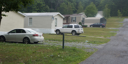 Pine Crest in Johnstown, PA - Building Photo - Building Photo