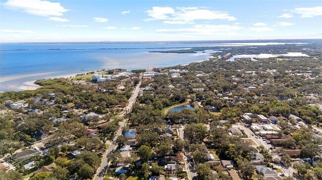 207 6th St N in Safety Harbor, FL - Building Photo - Building Photo