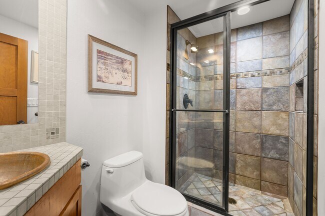 65 Campground Ln in Snowmass Village, CO - Building Photo - Building Photo