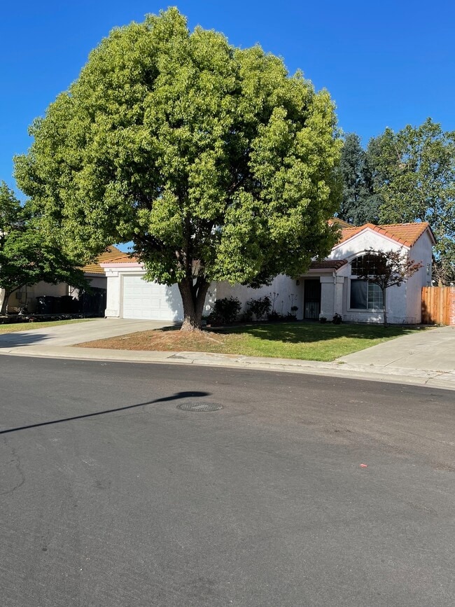 4506 Story Way in Elk Grove, CA - Building Photo - Building Photo