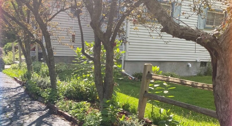 26 Rochester St in Dryden, NY - Building Photo