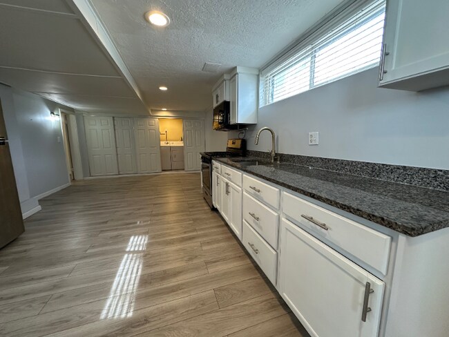 165 N 400 E-Unit -Basement in Springville, UT - Building Photo - Building Photo