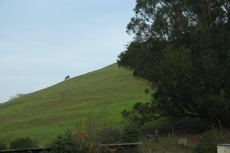 2891 I St in Petaluma, CA - Building Photo