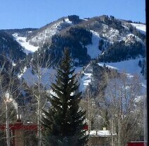 333 Vine St, Unit 333 Vine Street in Aspen, CO - Building Photo