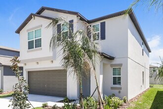 17862 Beaming Rays Ln in Lutz, FL - Building Photo - Building Photo
