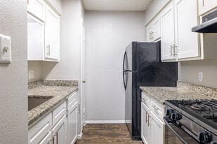 Flats at Wellington in Austin, TX - Building Photo