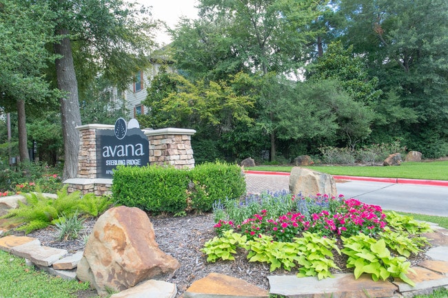 Grove at Sterling Ridge in The Woodlands, TX - Foto de edificio - Building Photo