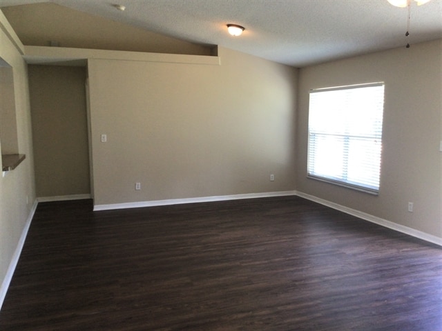 13210 Moonflower Ct in Clermont, FL - Building Photo - Building Photo